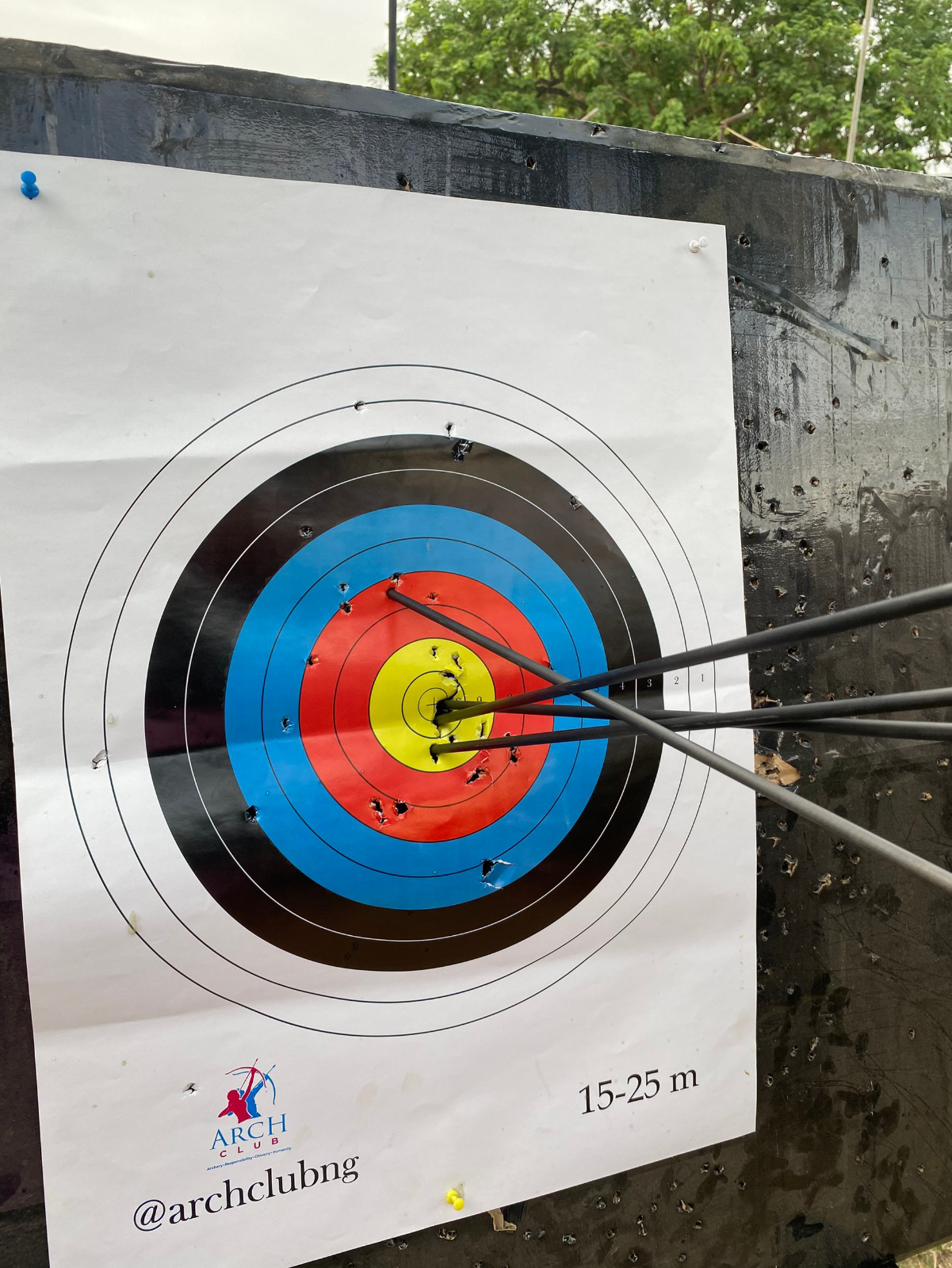Archery target with arrows